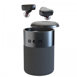 FB-BEB20 TWS auricolari +BluetoothSpeaker 2 in 1 Combo