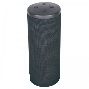 Altoparlante Bluetooth Attivato Smart Voice FB-BS8D532