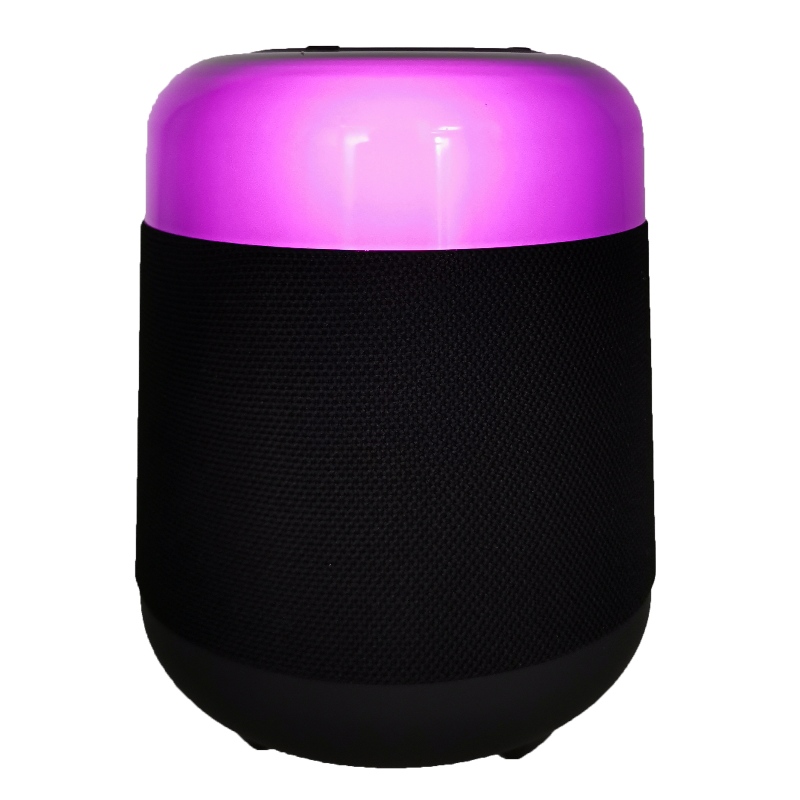 Altoparlante Bluetooth portatile FB-BSL21