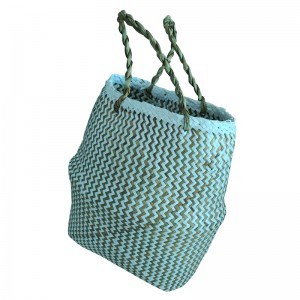 Cesto del regalo alga