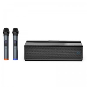 Mini altoparlante Bluetooth Bluetooth FB-KP722 con funzione Karaoke