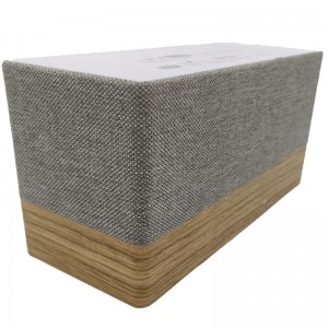 FB-CR320 Altoparlante Bluetooth Bluetooth Bluetooth di alto livello W/Grill in tessuto