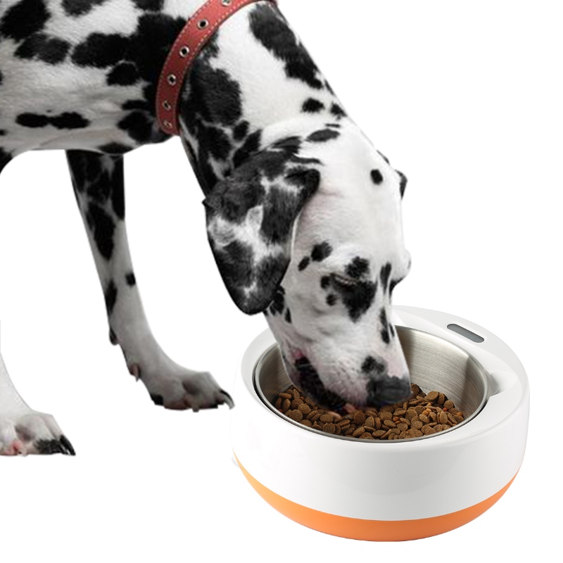Ciotola per animali domestici di alimentazione intelligente