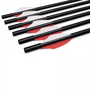 Elong Outdoor 110300-01 20 pollici Airgun Airgun Bullone Bolt Bolt Bolt Archery Arrow Attrezzature per riprese