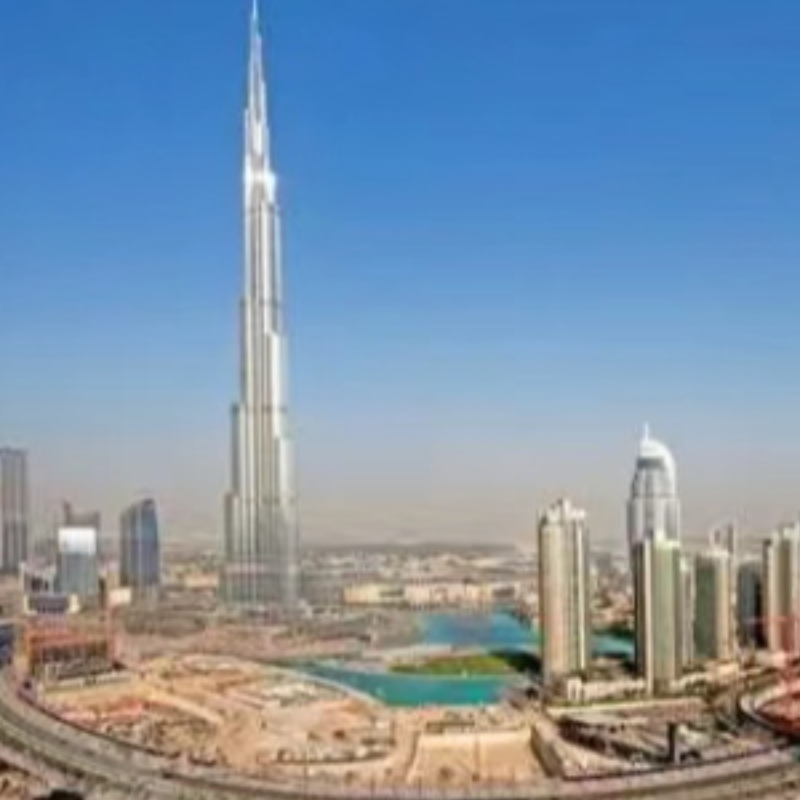 Quelli vogliono partecipare alla mostra manon hanno tempo per andare a venire qui.