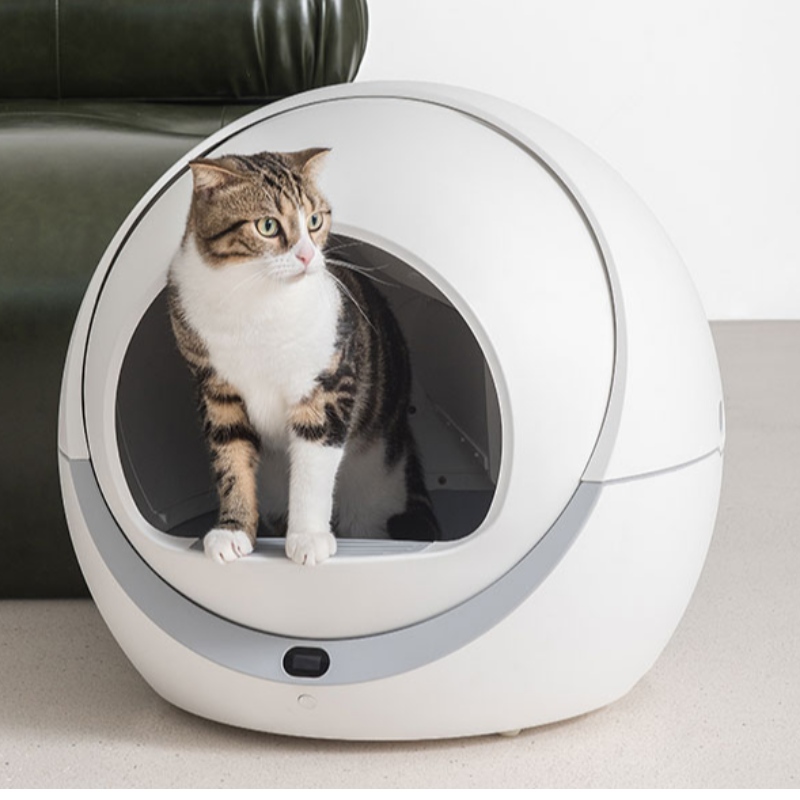 Scatola di lettiera di gatto automatica wifi