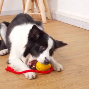 Giocattolo per spuntino perde in gomma
