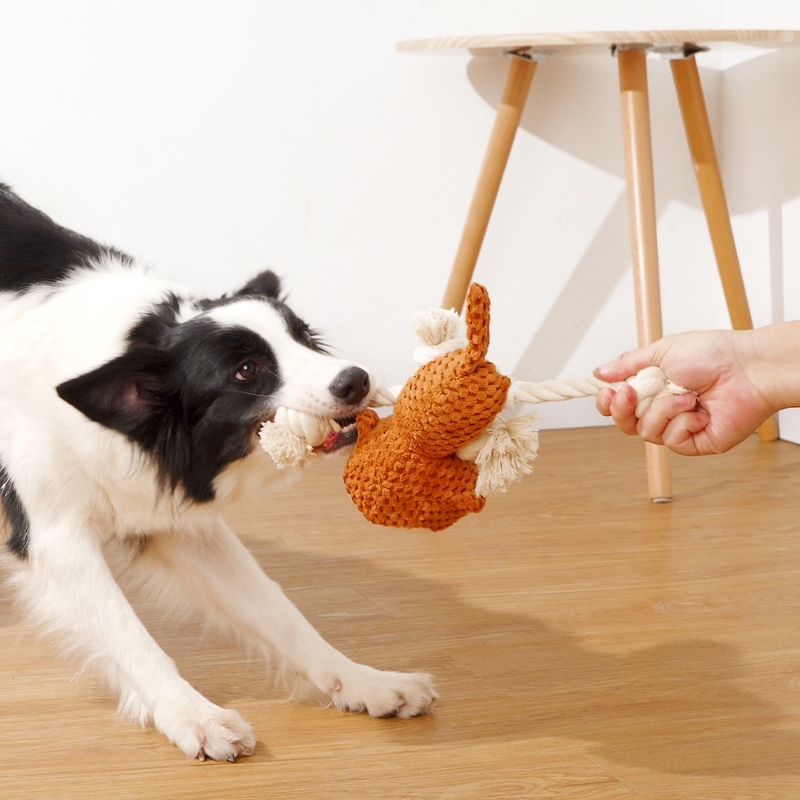 Giocattolo per cani da corda peluche