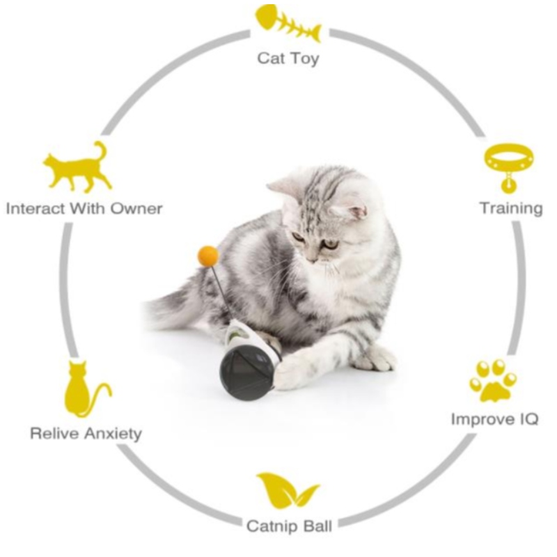2021 New Cat Toy Chaser Bilanciata Gatto Bilanciata Giocattolo Interactive Kitten Swing Toy