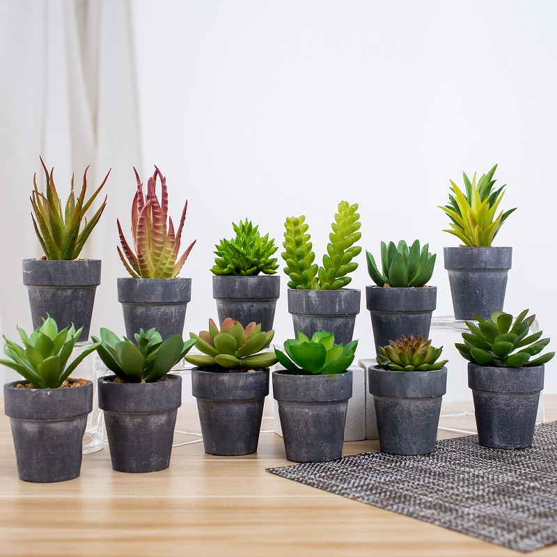 all'ingrosso pianta succulente artificiale in vaso