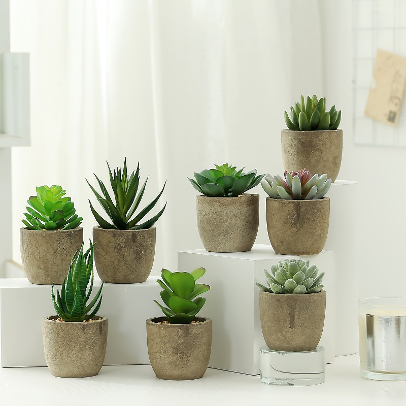 Pianta succulente artificiale di vendita calda in vaso di pasta di carta