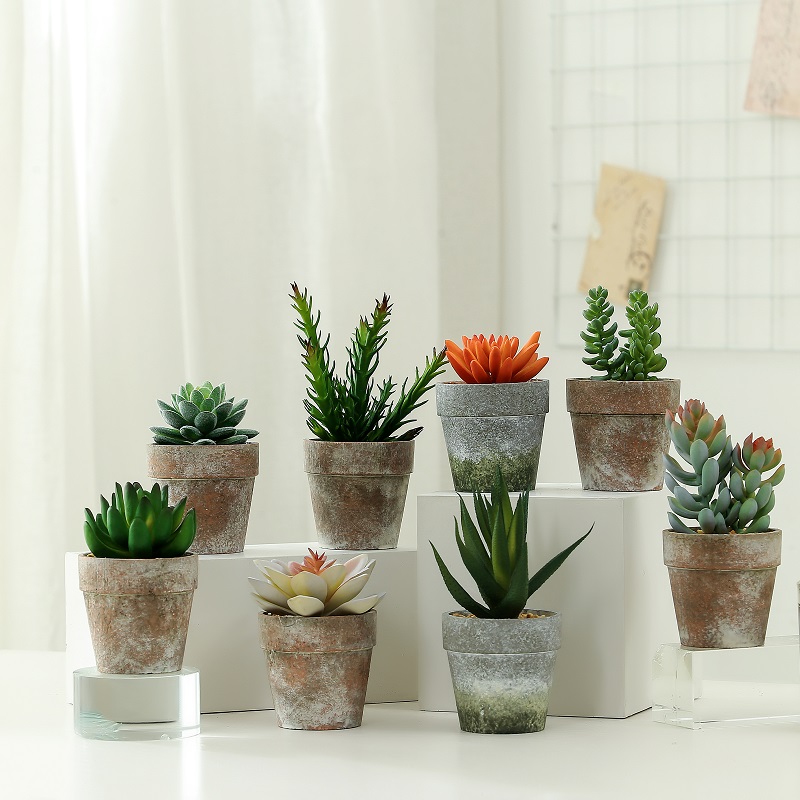 Pianta succulente artificiale di vendita calda in vaso di pasta di carta