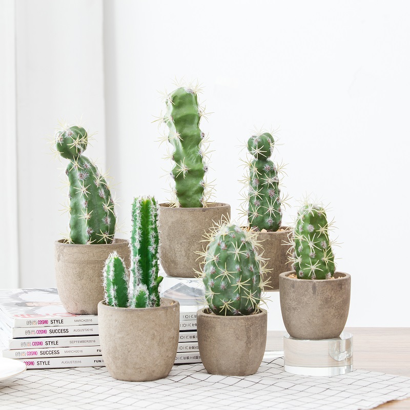 Pianta succulente artificiale di vendita calda in vaso di pasta di carta