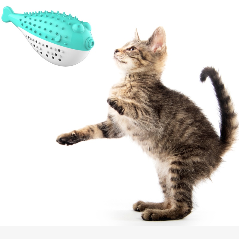 Furjoyz all'ingrosso divertente pet giocattoli spazzolino giocattolo interattivo giocattolo portatile cat cat intelligente denti denti gomma catnip gatto giocattolo