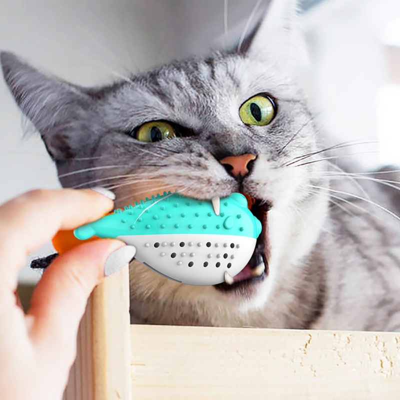 Furjoyz all'ingrosso divertente pet giocattoli spazzolino giocattolo interattivo giocattolo portatile cat cat intelligente denti denti gomma catnip gatto giocattolo