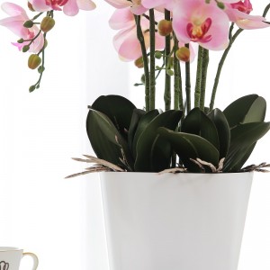 Reale orchidea artificiale in vaso toccata in vendita