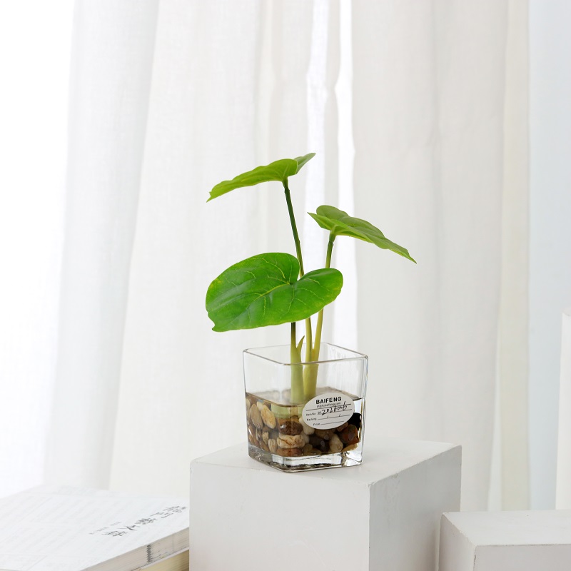 Pianta artificiale in vaso in imitazione acqua con articoli di vetro