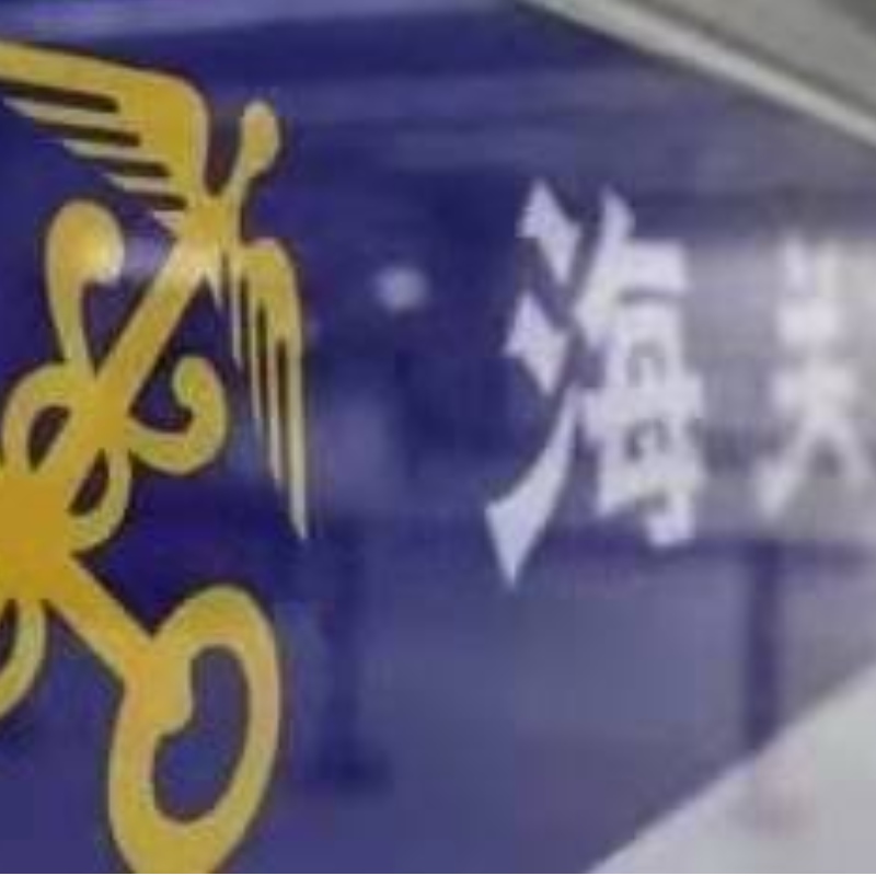 Il trasporto doganale mostra una tendenza della congestione