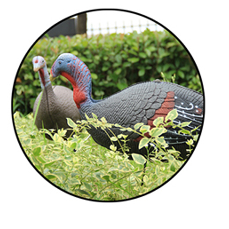 Felice giorno del Ringraziamento