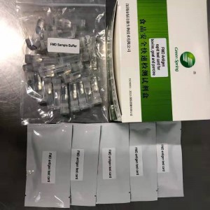 Kit di test rapido antigene Covid-19 medico