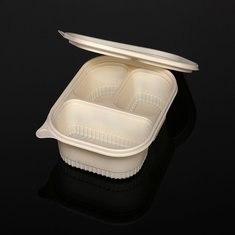 Biodegradabile scatola di pranzo