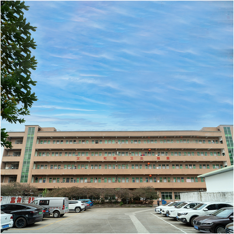 Che cosa appare una fabbrica di muffe di iniezionenei tuoi occhi?