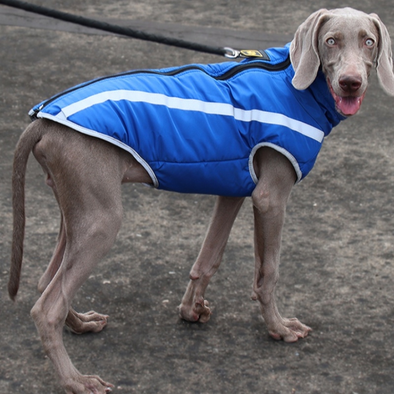 Produttore all'ingrosso all'aperto stile fresco stile altamente riflettente fili di cani giacca da cane impermeabile