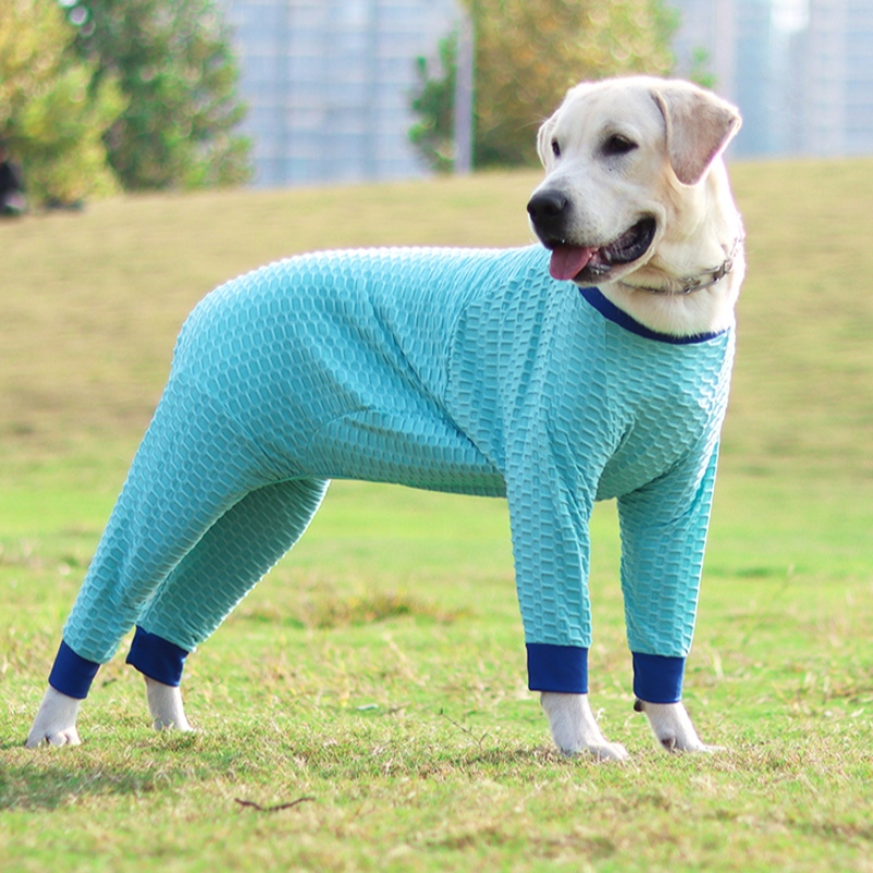 Nuovo design personalizzato inverno pet dog vestitinuovi vestiti per animali domestici maglione elastico maglione calda maglione per animali domestici