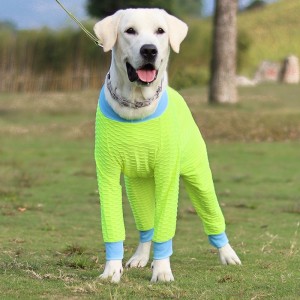 Bello e durevole cinghia del petto del cucciolo, imbracatura del petto del cane, abbigliamento del cane in Prezzo accessibile