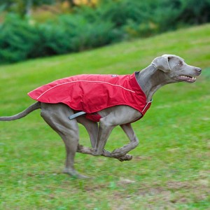 Cappotto di cane riflettente stile classico impermeabile Giacca per cani invernali regolabile reversibile leggero