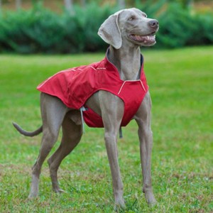 Cappotto di cane riflettente stile classico impermeabile Giacca per cani invernali regolabile reversibile leggero