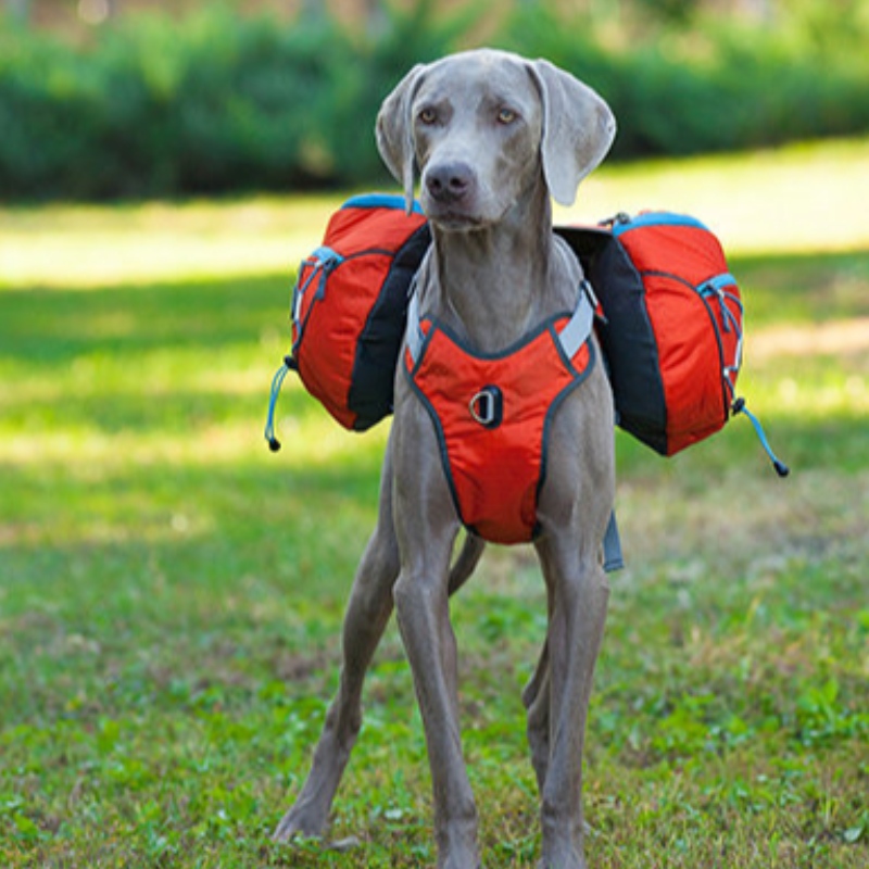 Nuovi vestiti per cani riflettenti di design con cablaggio caldo grande cappotto di animali domestico gilet giacca di cane invernale invernale