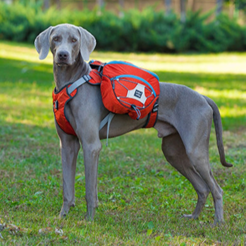 Nuovi vestiti per cani riflettenti di design con cablaggio caldo grande cappotto di animali domestico gilet giacca di cane invernale invernale