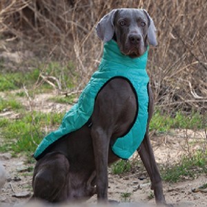 Amazon Vendita calda Nuovo PET Vestiti per cani Abbigliamento per cani Autunno e inverno Maglione elastico addensato Maglione per animali domestici