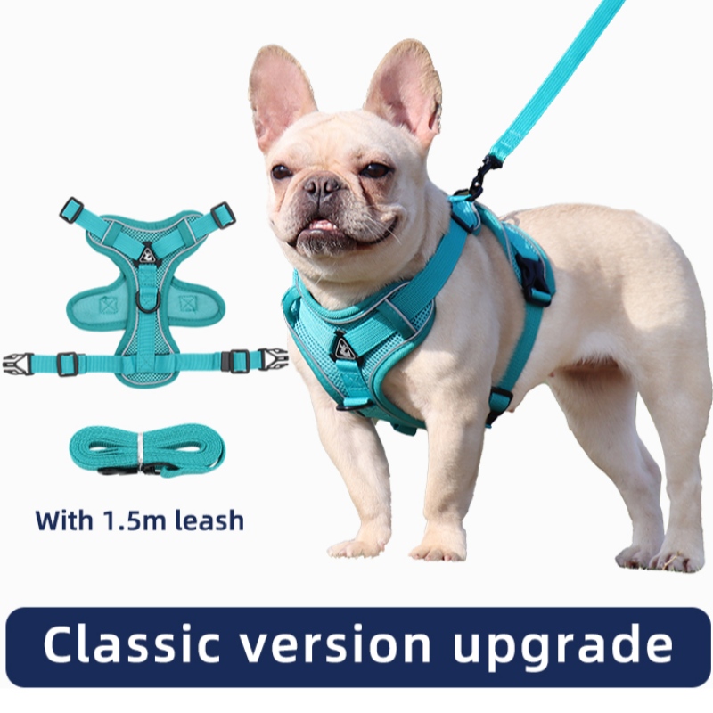 Fashion Pet Glead Type Trazione TRACCIA CINTURA CAT DOG DOG REGOLABILE RETRACTRACK TRAZIONE RACCELLA DI TRACCINAZIONE Cane da passeggio corda collare