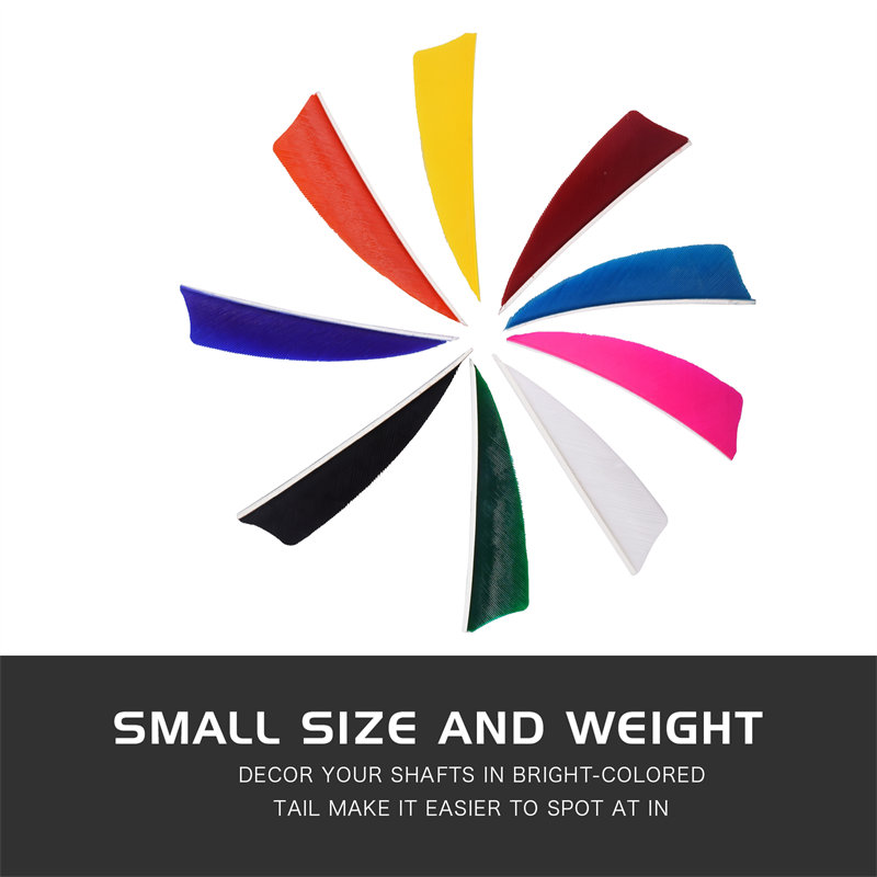 Elongarrow 172313 3inches Shield Turchia piuma per frecce di tiro con l'arco