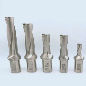 3d U Drill Inserisci SPMG