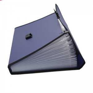 Cartella in espansione A4 Dimensione lettera PP Plastica 13 tasche Multi Pocket Organizer File espandibile