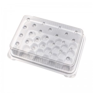 Vassoio per vesciche reagenti di acidonucleico