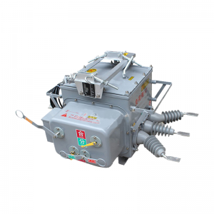 Interruttore di carico del vuoto esterno elettrico ad alta tensione