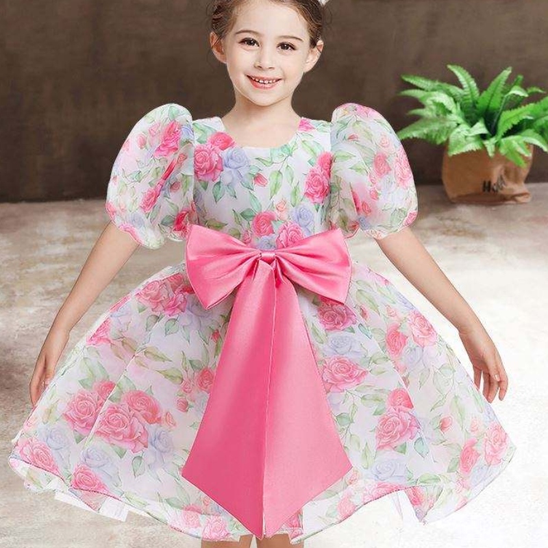 Baige New Fashion Wedding Party Principessa Bambini Bambini Abiti per bambini Abiti da bambina