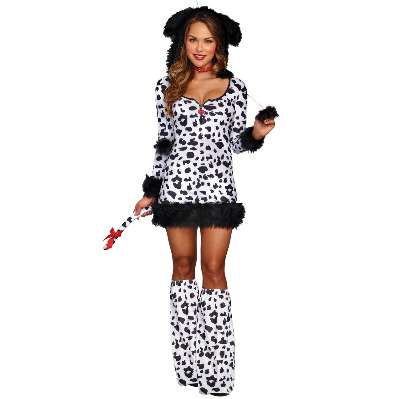 COSTO DALMATION DARLING