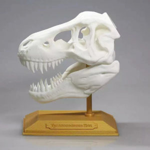 Servizio di stampa di plastica 3d, prototipazione della stampante 3d di Sls