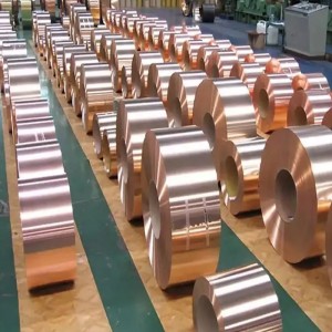 C5191 C5210 Serie in lega di bronzo Phospor