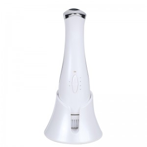 MASSAGGIO FACCIO ELETTRICO DI BASE