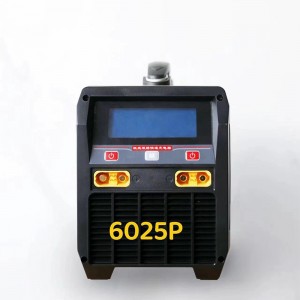 Caricatore del drone agricolo 6025.6025p.6055p Caricatore a batteria al litio veloce