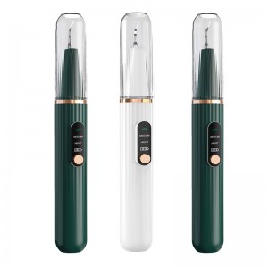 Visualizzazione della casa Visualizzazione Calcolo del calcolo dentale ad ultrasuoni, telecamera ad alta definizione integrata e luce a LED con 3 modalità di pulizia dei denti