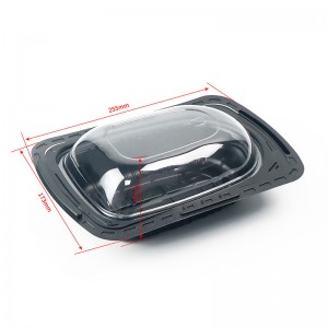 Vestro di carne di carne di pollo arrosto Contenitore