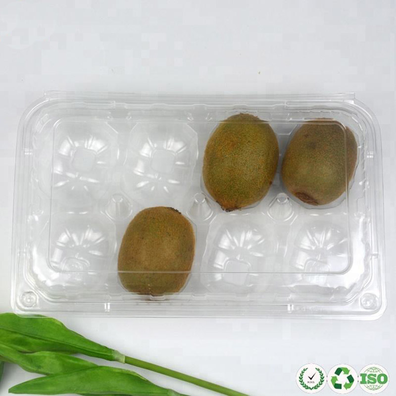 Contenitore di frutta in plastica traspirante traspirante per il kiwi