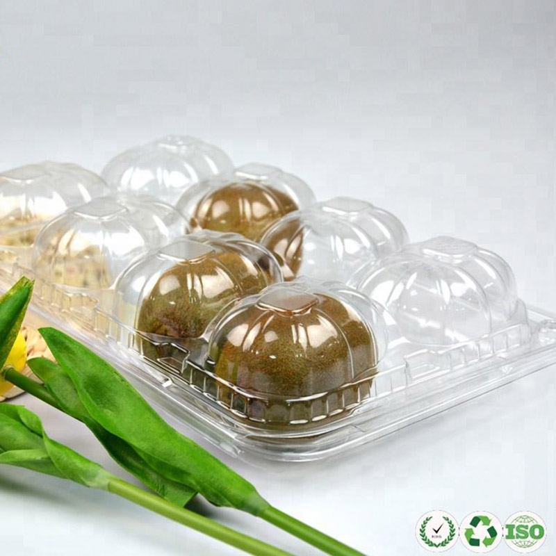 Contenitore di frutta in plastica traspirante traspirante per il kiwi